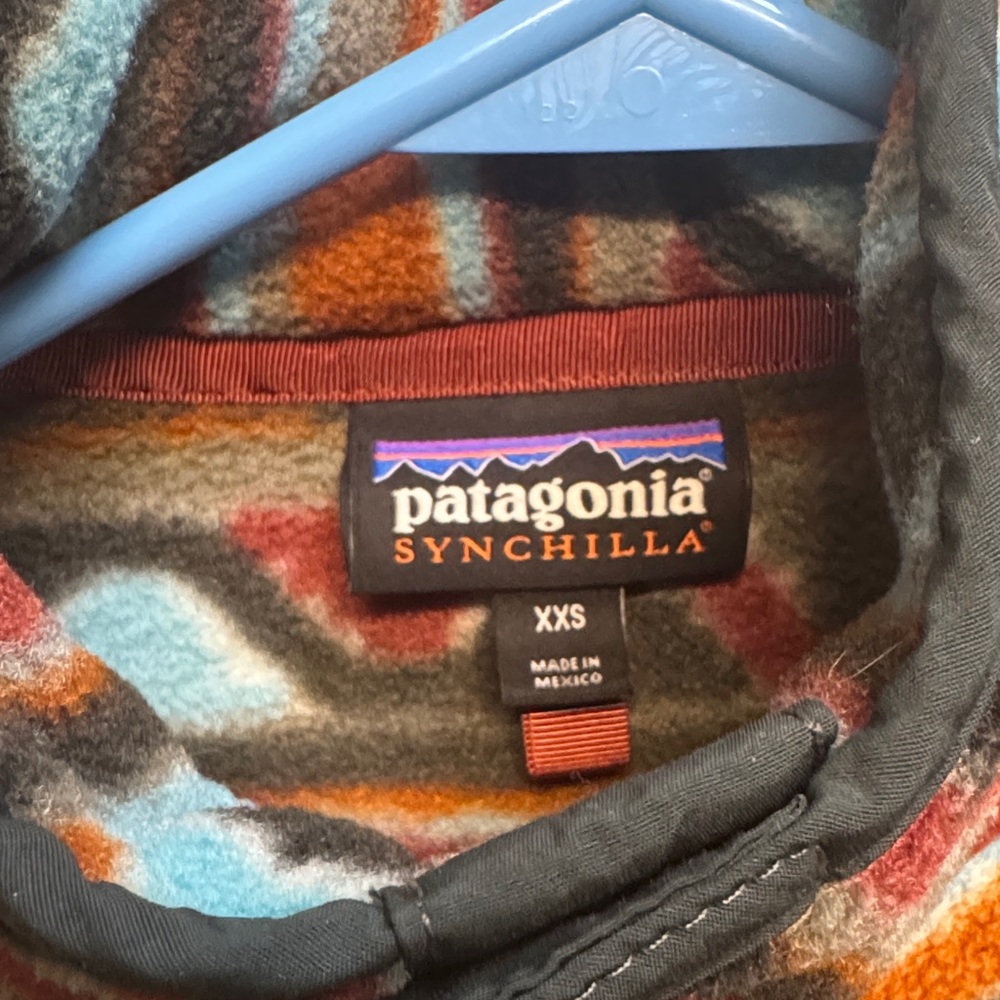 Patagonia Striped Fleece Pullover in Earth Tones - Picture 2 of 3